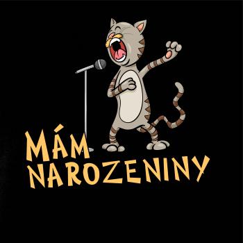 Mám narozeniny kočka