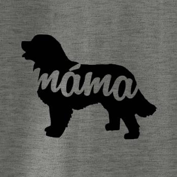 Bernský salašnický pes máma obrys