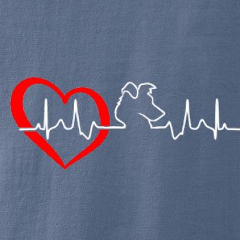 Border kolie EKG Border kolie EKG