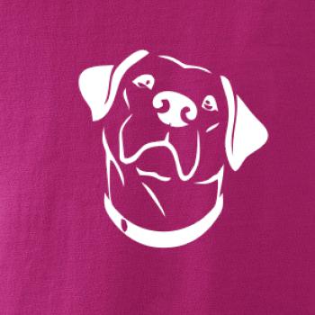 Labrador obrys