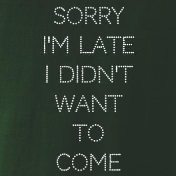 Sorry I am late i didn't want to come