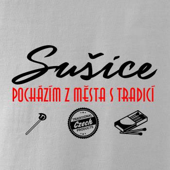 Sušice město s tradicí Sušice město s tradicí
