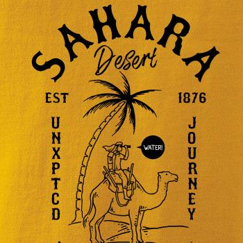 Desert Sahara nature