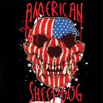 American Sheepdog - lebka