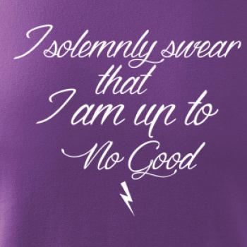 I solemnly swear that I'm up to no good