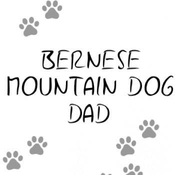Bernese Mountain Dog dad  (Bernský salašnický pes) (Reflexní tlapky)