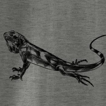 Tužkou kreslený Leguán 