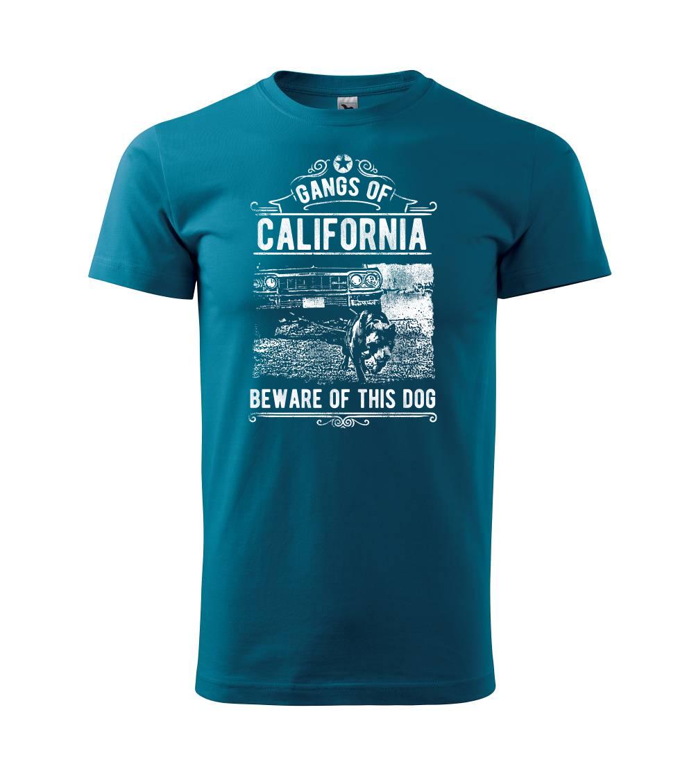 Gangs Of California Gangs Of California