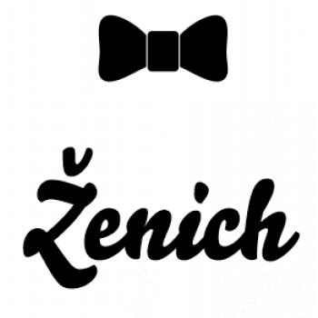 Rozlučka motýlek - ženich