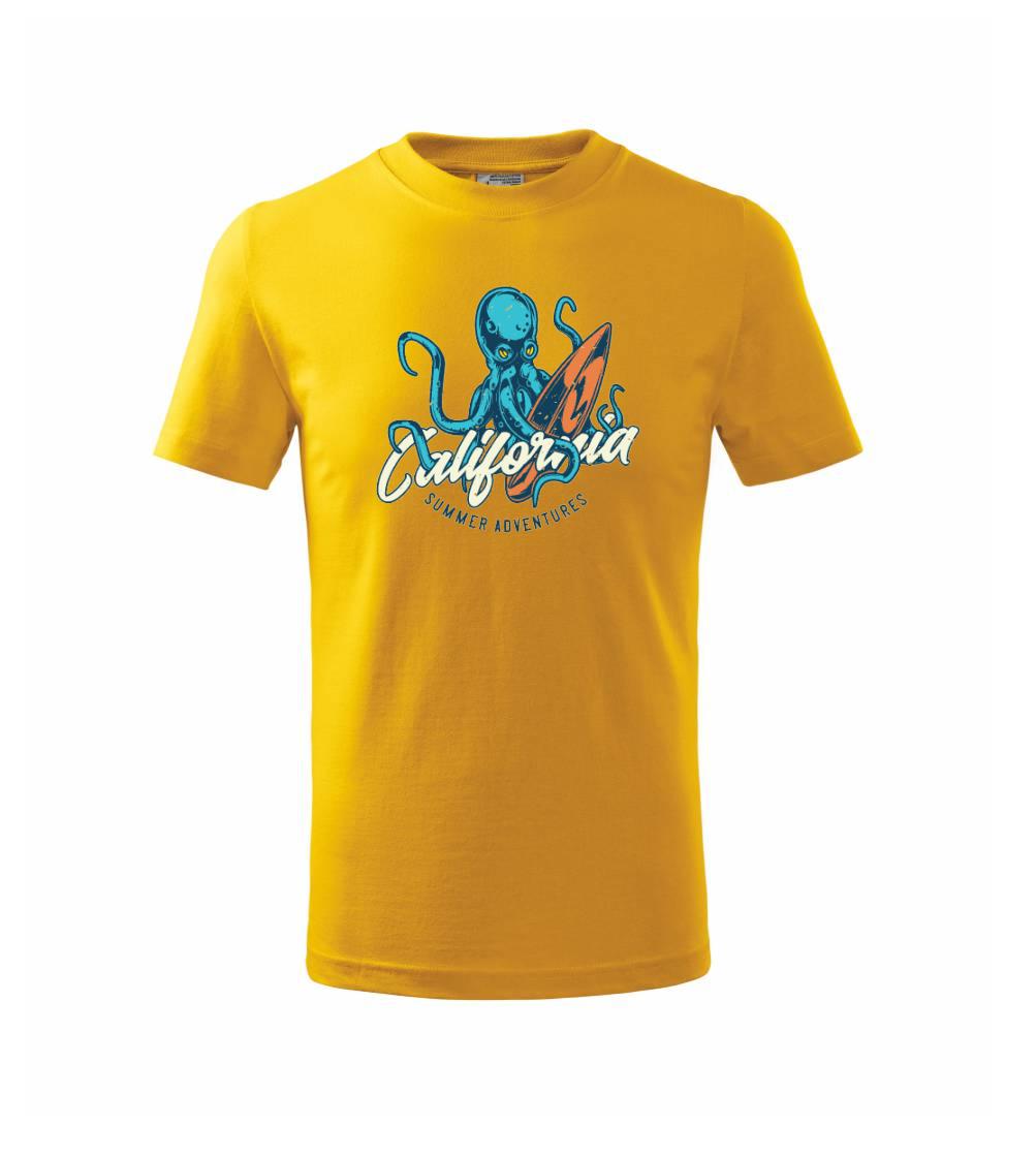 Summer adventures California