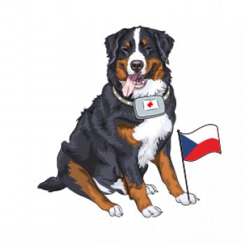 Pes záchranář bernský salašnický