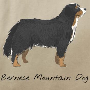 Bernese mountain dog kreslený