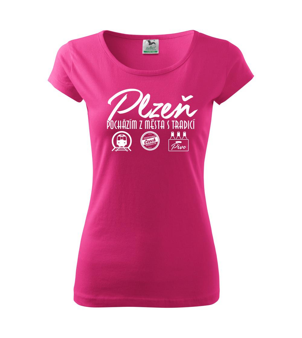 Plzeň město s tradicí