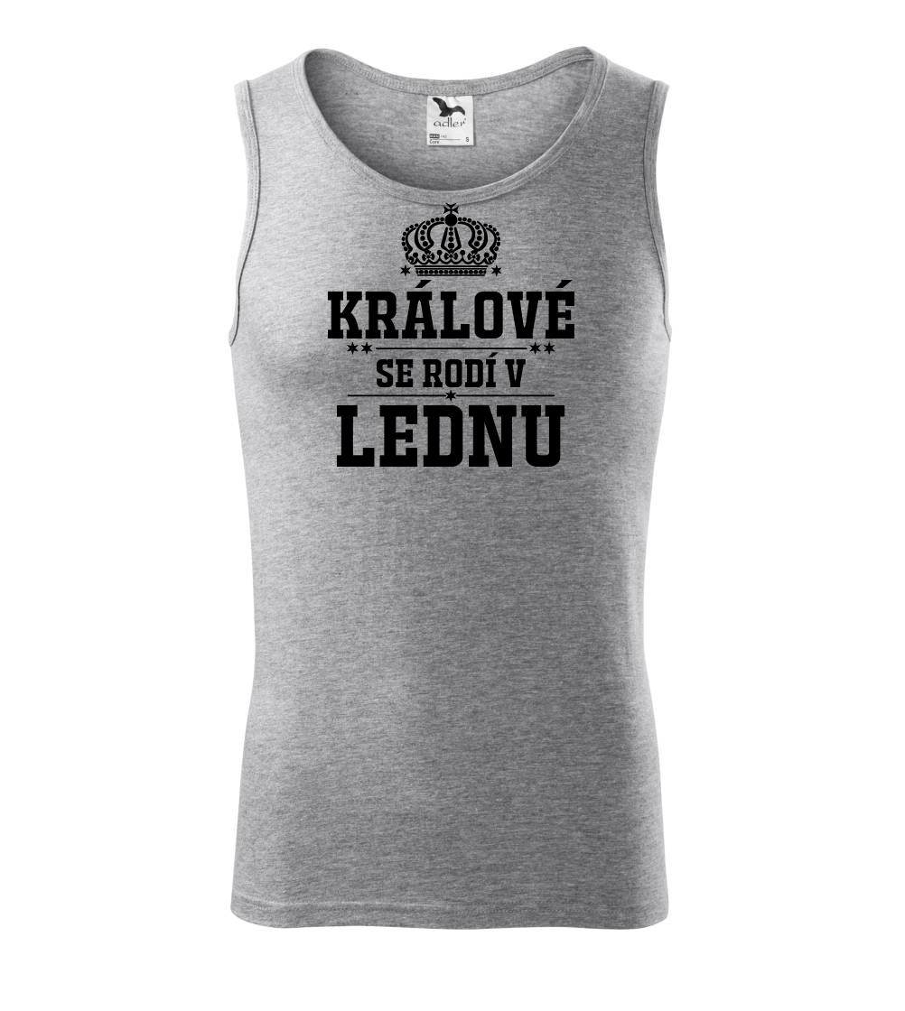 Králové se rodí v lednu - Tílko pánské Core
