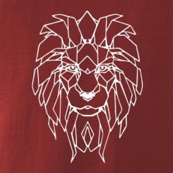 Geometrie - lev tvář