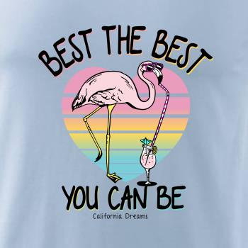 Best the best plameňák