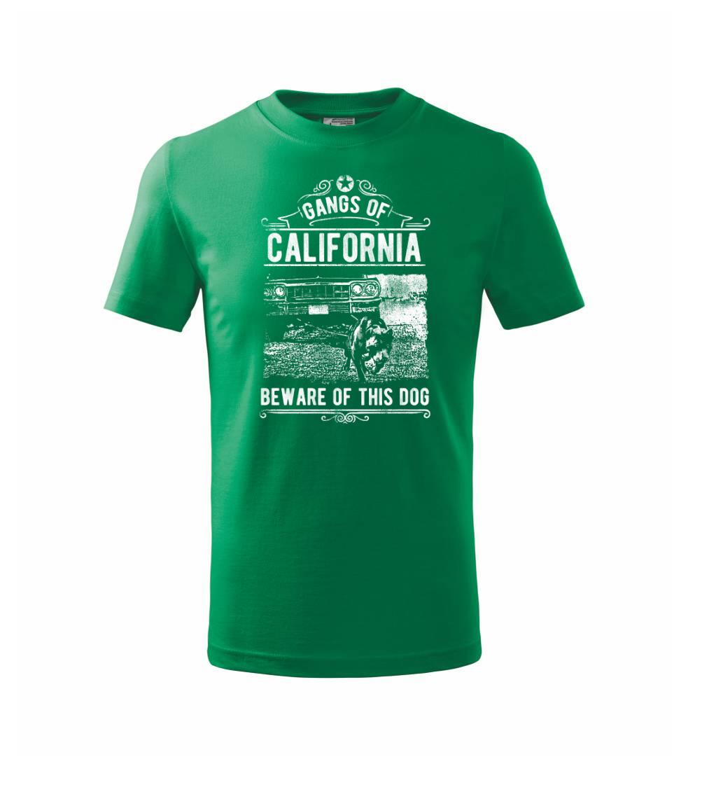 Gangs Of California