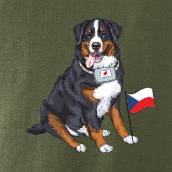 Pes záchranář bernský salašnický