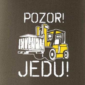 Pozor jedu ještěrka