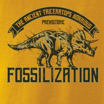 Triceratops fossil