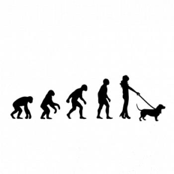 Evoluce pes baset (muž-žena)