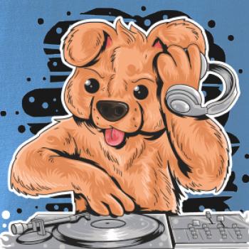 DJ Teddy
