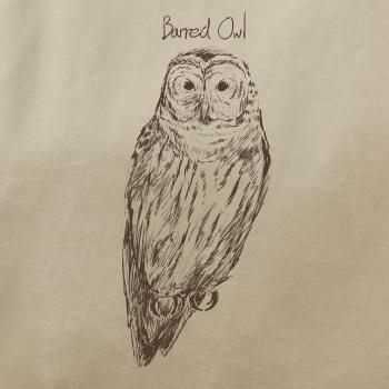 Puštík proužkovaný Barred owl