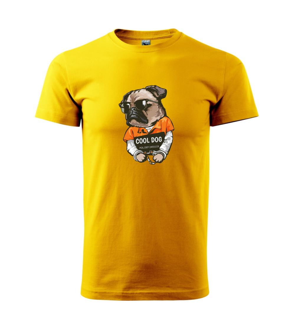 Mops výtržník Mops výtržník