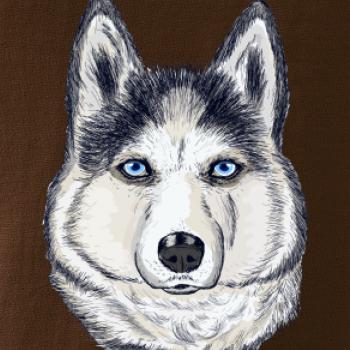 Husky hlava - kreslený