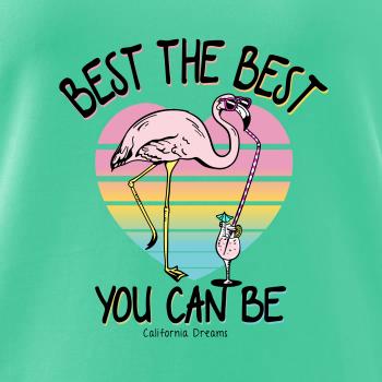 Best the best plameňák