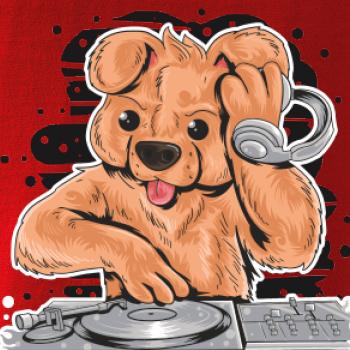 DJ Teddy