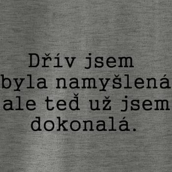 Jsem dokonalá