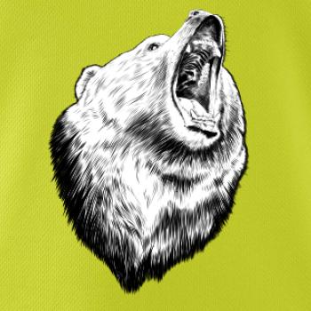 Medvěd trošku naštvaný