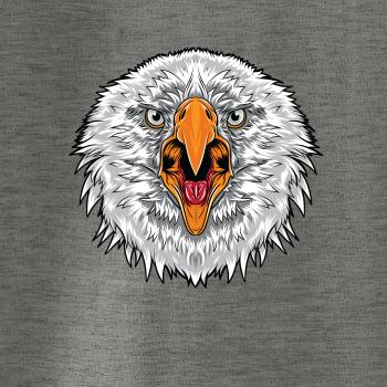 Hlava rozzlobeného orla