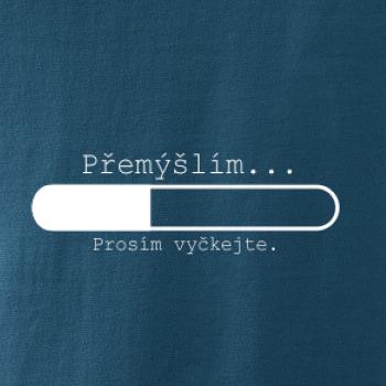 Přemýšlím Přemýšlím