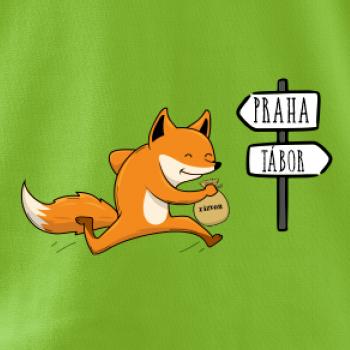 Běží liška k táboru