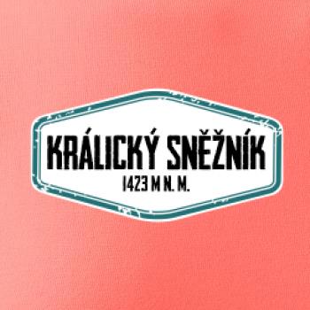 Hora Králický Sněžník