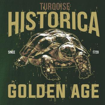 Turtle age