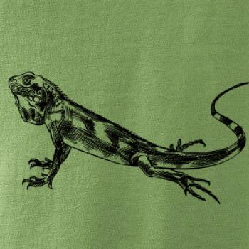 Tužkou kreslený Leguán 