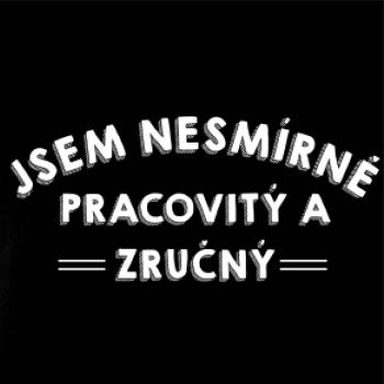 Jsem nesmírně pracovitý a zručný