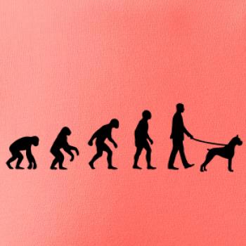Evoluce pes boxer (muž-žena)