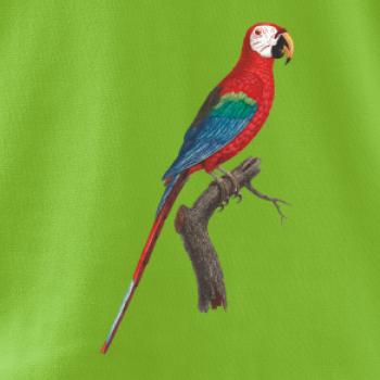 Papoušek červený na větvi