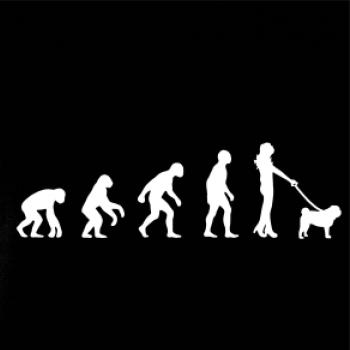 Evoluce pes Mops (muž-žena)