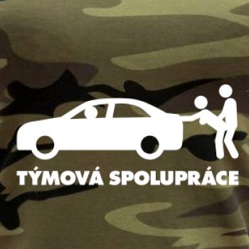 Týmová spolupráce (Hana-creative)