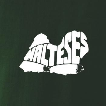 Maltézský psík Maltézský psík