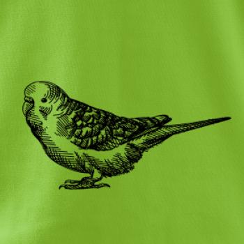 Tužkou kreslený Papoušek