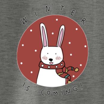 Winter is coming zajíc