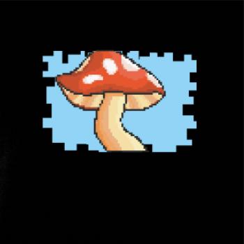 Gamer - stará hra - houba