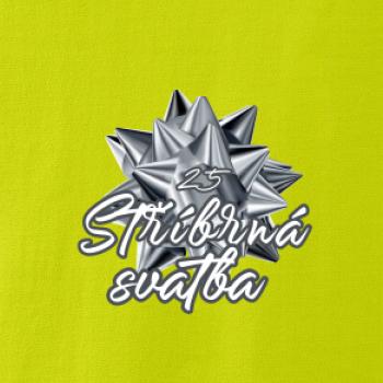 Stříbrná svatba 25