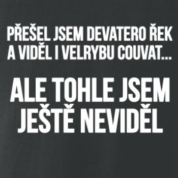 Viděl jsem velrybu couvat